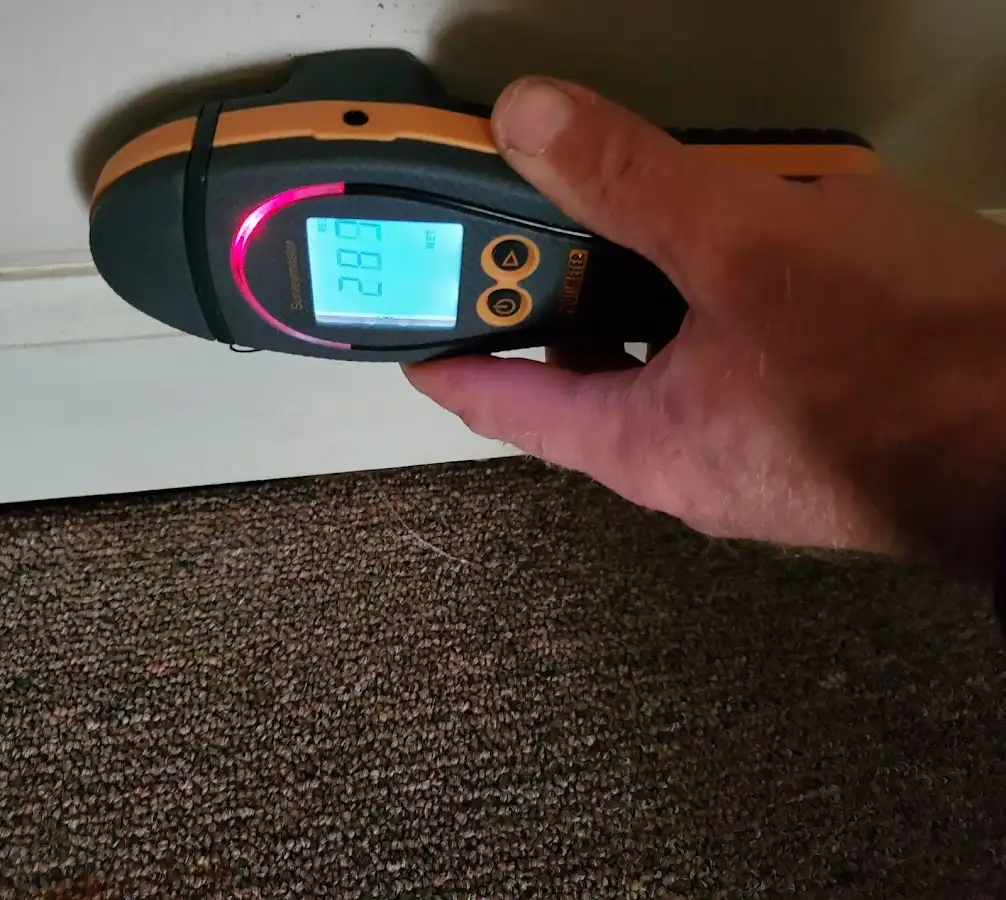 Moisture detection at baseboard during Sewage Cleanup & Sanitation in Hopatcong
